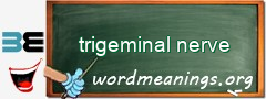 WordMeaning blackboard for trigeminal nerve